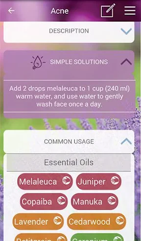 Modern Essentials Plus screenshot