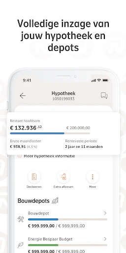 Nationale-Nederlanden screenshot