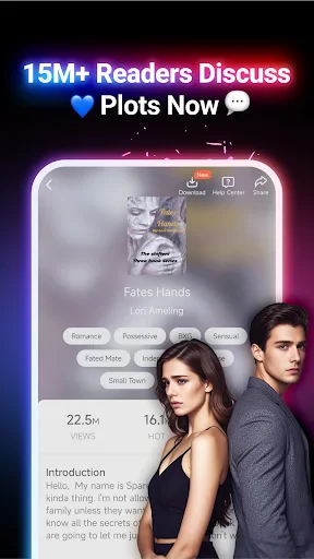 NovelFlow screenshot