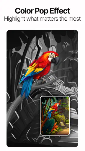 Photo Touch - AI-fotobewerking screenshot