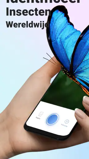 Picture Insect - Insecten ID screenshot