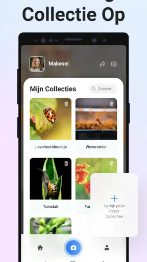 Picture Insect - Insecten ID screenshot