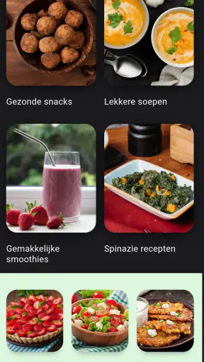 Plantaardig dieet recepten screenshot