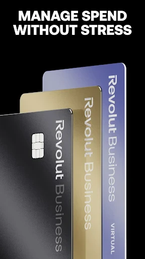 Revolut Business screenshot