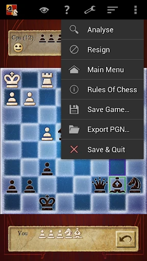 Schaken Pro (Chess) screenshot