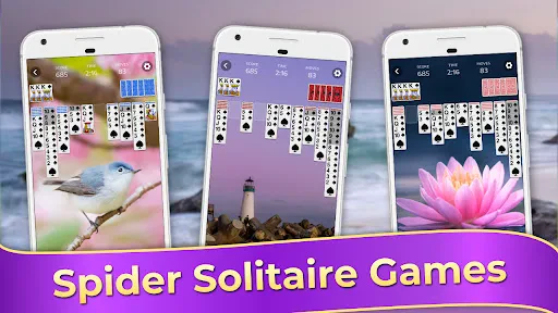 Spider Solitaire-spellen screenshot