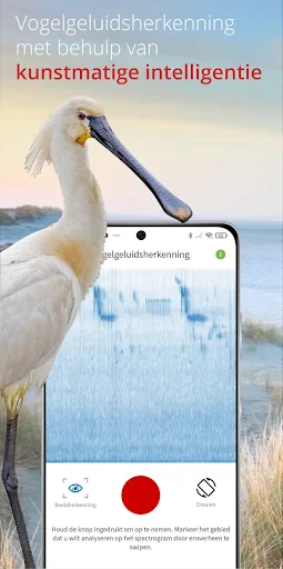 Vogels van Nederland en België screenshot