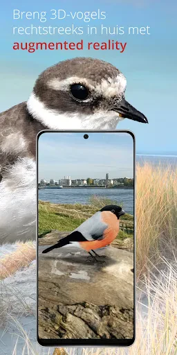 Vogels van Nederland en België screenshot