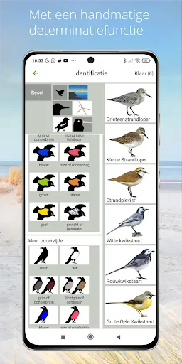 Vogels van Nederland en België screenshot