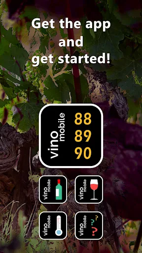 Wijnjaren (Wine Vintages) screenshot