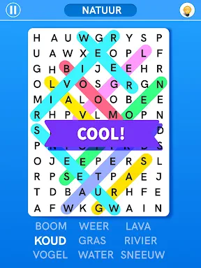 Woord Zoeken: Woord Vinden screenshot