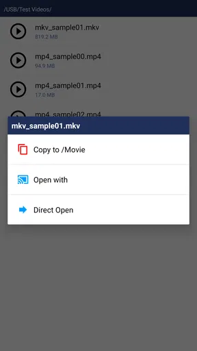 JS USB OTG screenshot