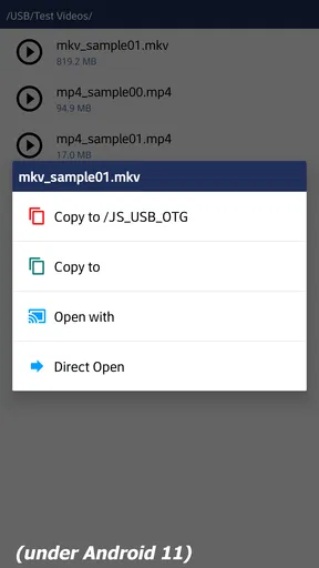 JS USB OTG screenshot