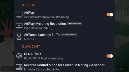 AirPin STD - AirPlay & DLNA screenshot