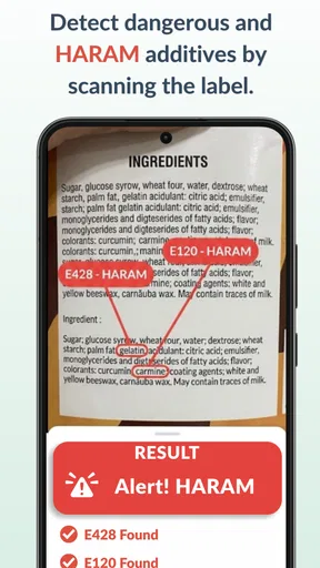 TagHalal food Scan Ingredients screenshot