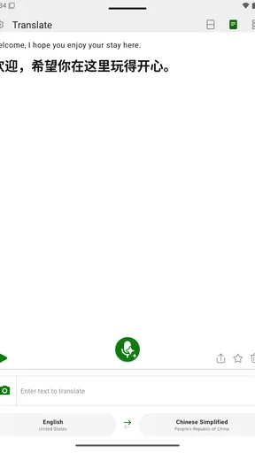 Microsoft Translator screenshot