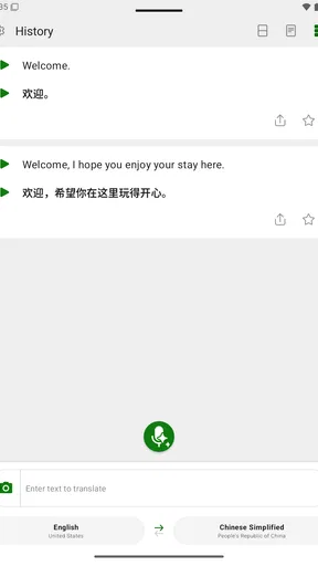 Microsoft Translator screenshot
