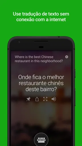 Tradutor da Microsoft screenshot
