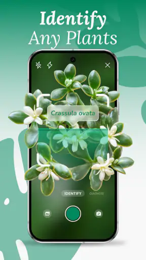 AI Plant Identifier & Care screenshot
