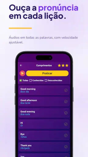 Aprender inglês - iniciantes screenshot