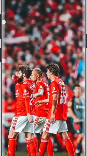 Benfica Wallpaper HD 4k 2024 screenshot