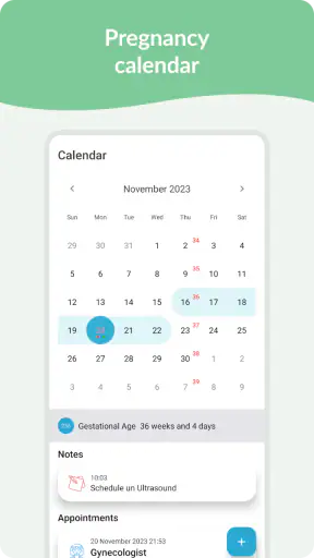 Calendário de Gravidez screenshot