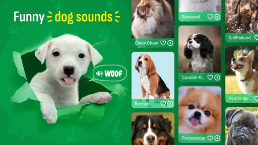 Cão Toque de chamada Wallpaper screenshot