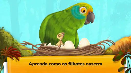 Como funcionam os animais? screenshot