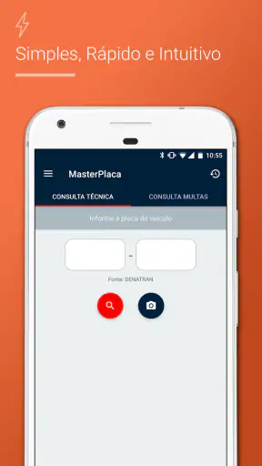 Consulta Placa Multa e Fipe screenshot