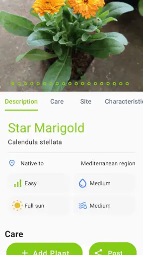 Doença de planta screenshot