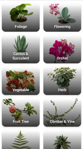 Doença de planta screenshot