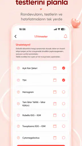 Elika: Hamilelik Takibi screenshot