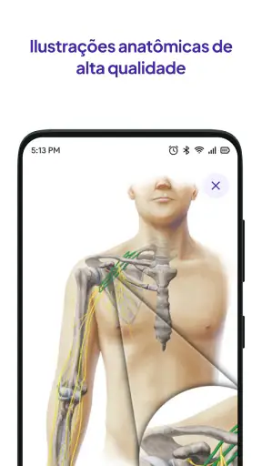 Flashcards do Daily Anatomy screenshot