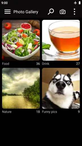 Galeria de fotos simples screenshot