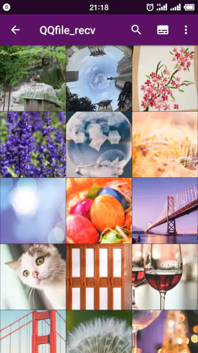 Galeria inteligente - Fotos screenshot