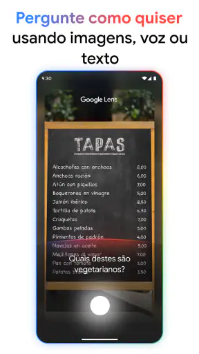Google screenshot