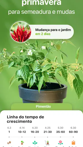 GrowIt: Cuidados com a horta screenshot