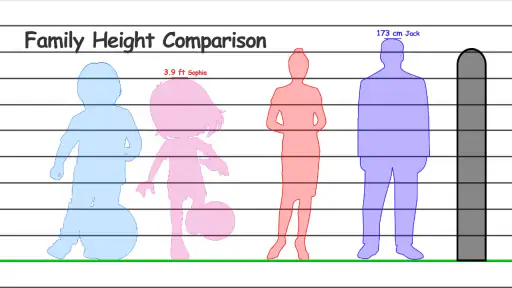 Height Measurement App screenshot