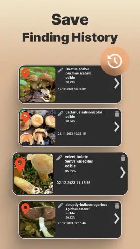 Identificador Cogumelo Câmera screenshot