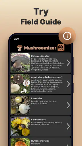 Identificador Cogumelo Câmera screenshot