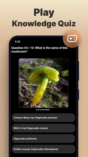 Identificador Cogumelo Câmera screenshot