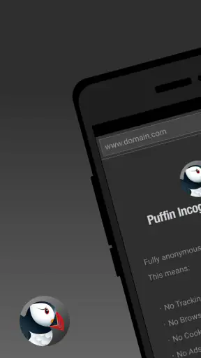 Navegador anônimo Puffin screenshot