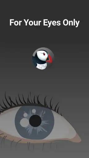 Navegador anônimo Puffin screenshot