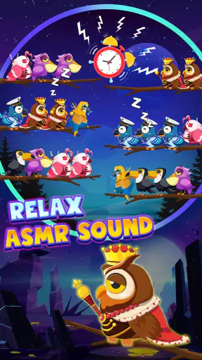 Ordenação de Pássaros 2 screenshot