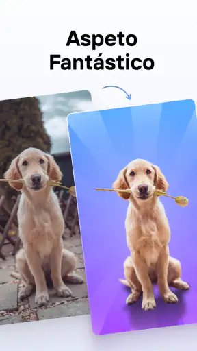 Photoroom: Editor de Fotos IA screenshot