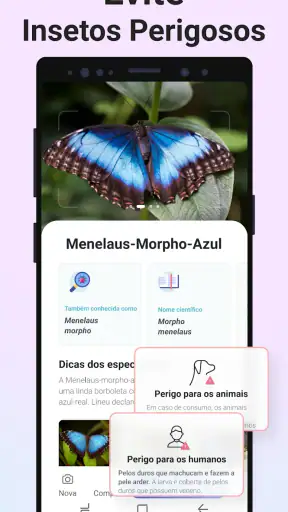 Picture Insect - Insetos ID screenshot