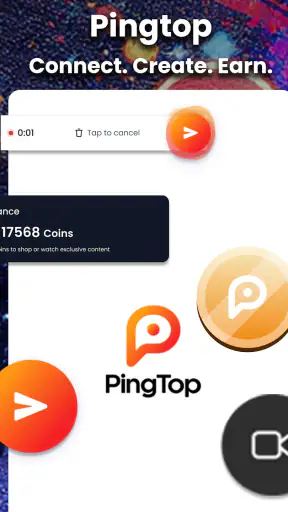 PingTop screenshot