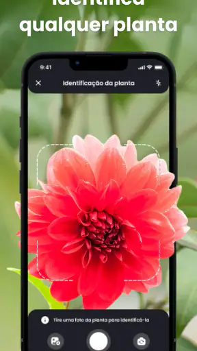 PlantIn: Identificar Plantas screenshot