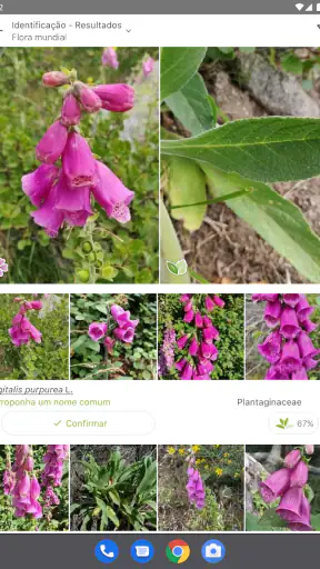 PlantNet Identificação planta screenshot