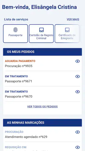 Portal Consular screenshot